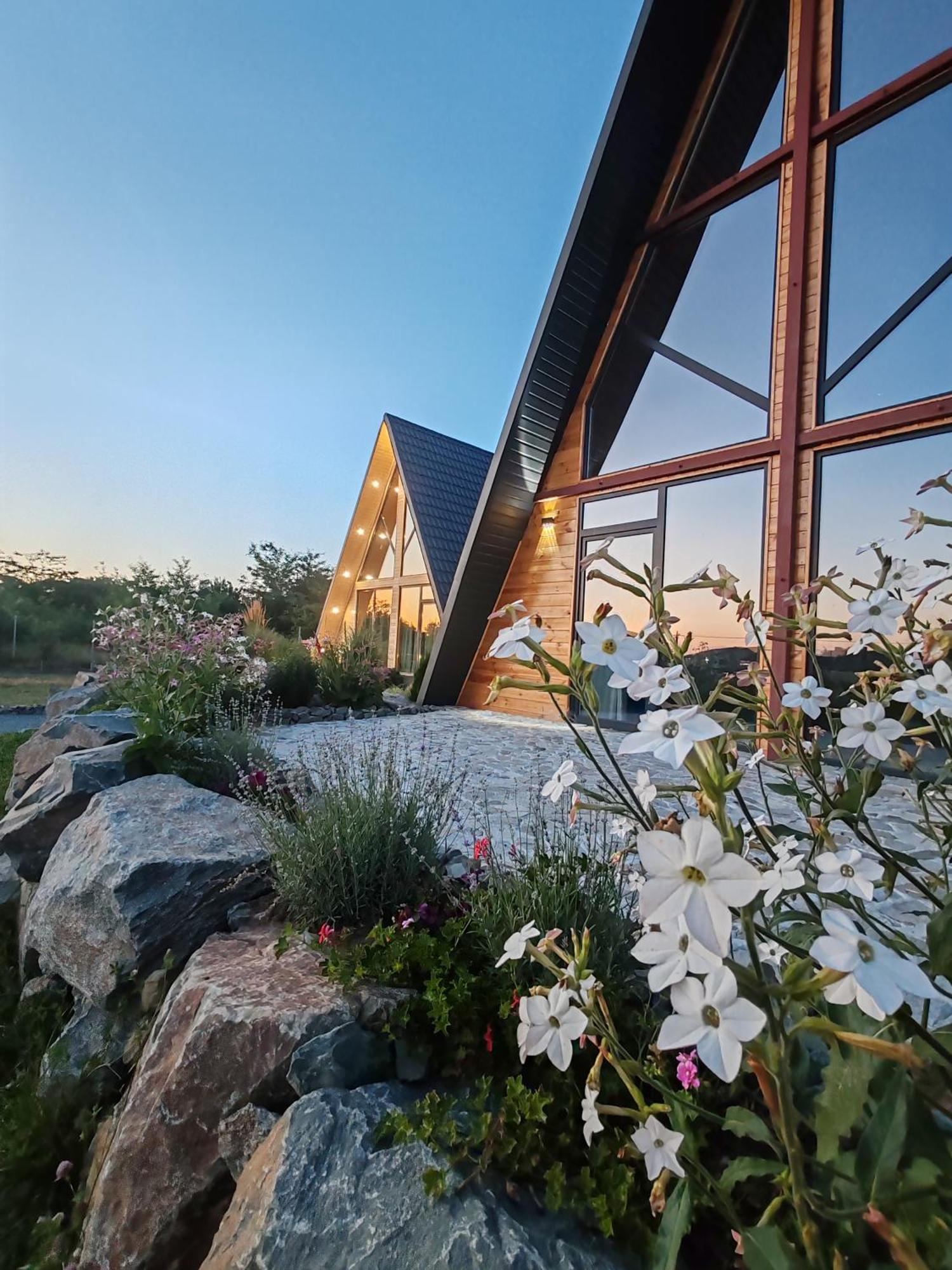 Вілла A-Frame In Corbu Корбу Екстер'єр фото